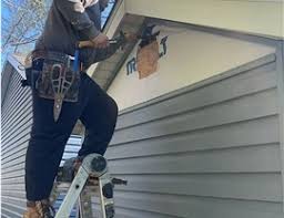 Best Siding Painting and Refinishing  in Montrose, CO